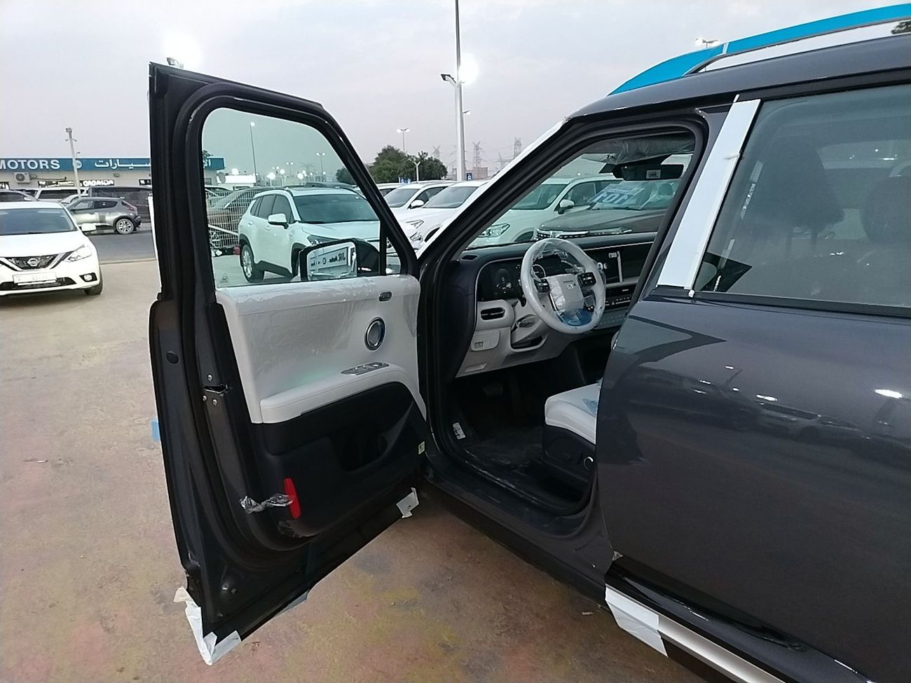 Hyundai Palisade Full limited