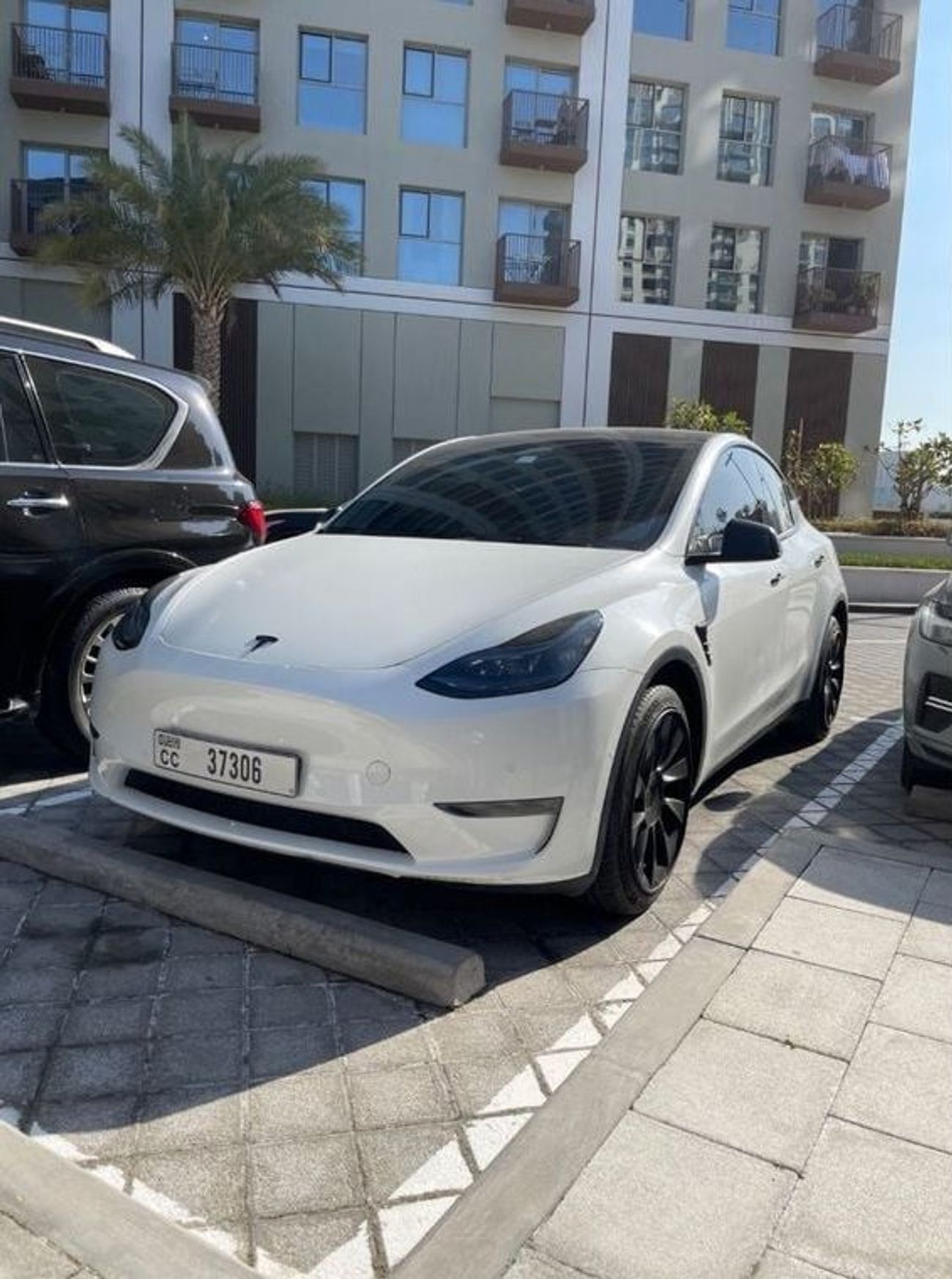 تسلا موديل Y model Y performance
