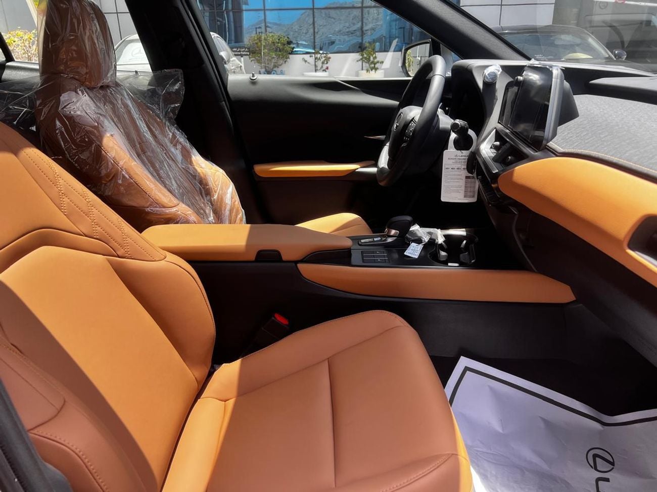 Lexus UX300h