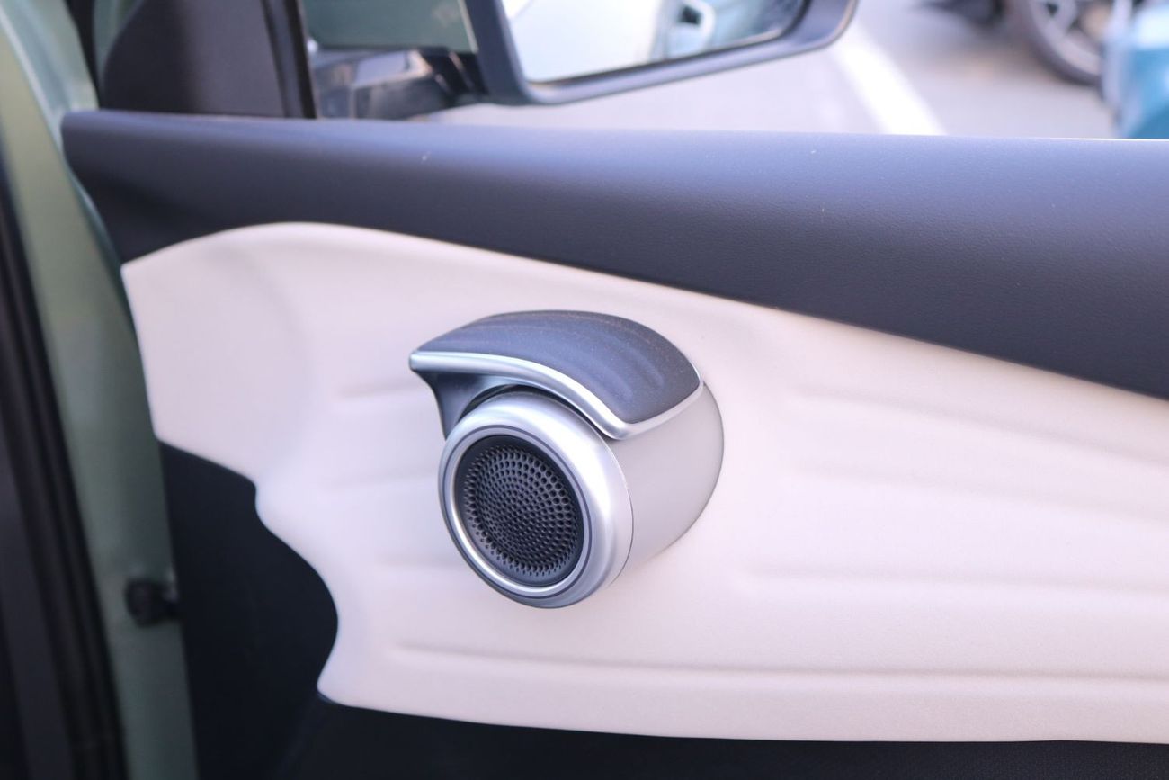 بي واي دي يوان بلس BYD YUAN PLUS 2024