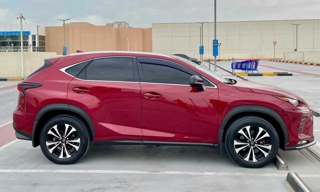 Lexus NX300 F-SPORT