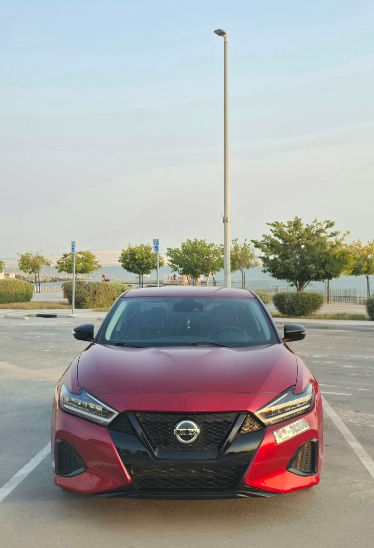 Nissan Maxima SV