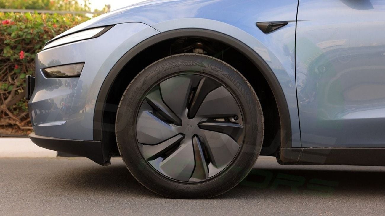 Tesla Model Y Real-Wheel Drive ( Only For Export ) 2025/2025 Tesla Model Y Short Range RWD BRAND NEW