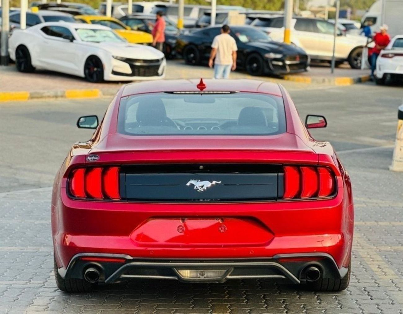 Ford Mustang EcoBoost I Monthly 850/- AED | Touch Screen | Leather Seats | # 71288