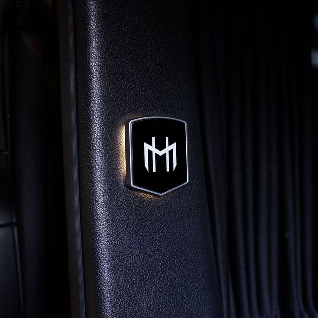 Mercedes-Benz 250 AVANTGARDE LWB, миниатюра 25