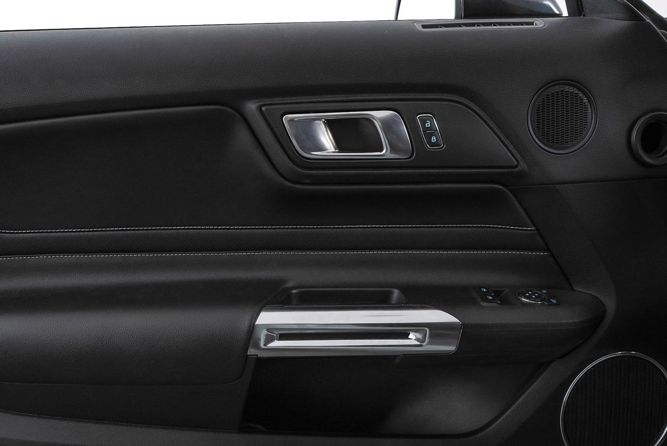 Ford Mustang Mach 1 5.0L V8