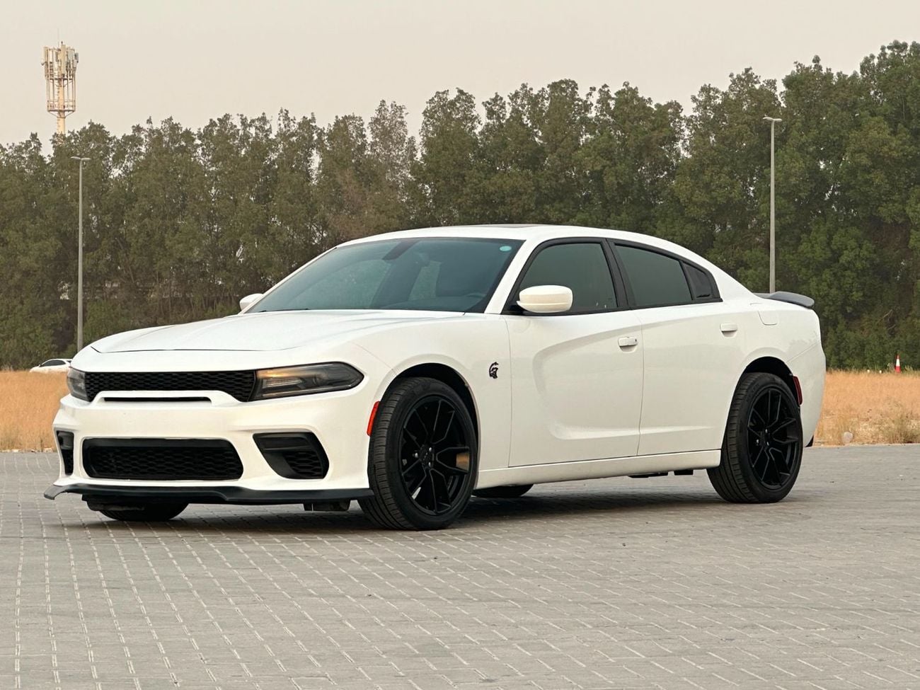 Dodge Charger R/T ROAD TRACK