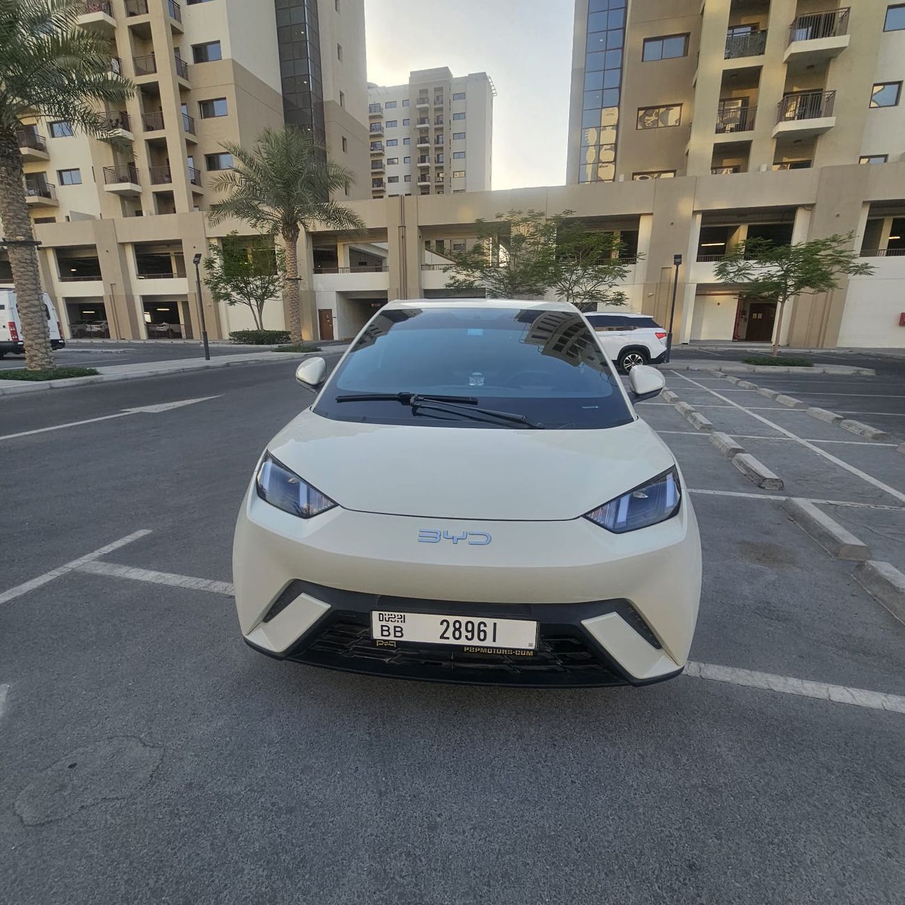 بي واي دي سيجول