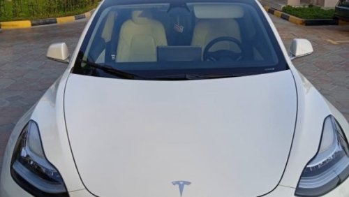 Tesla Model 3 Perfomance Dual Motors