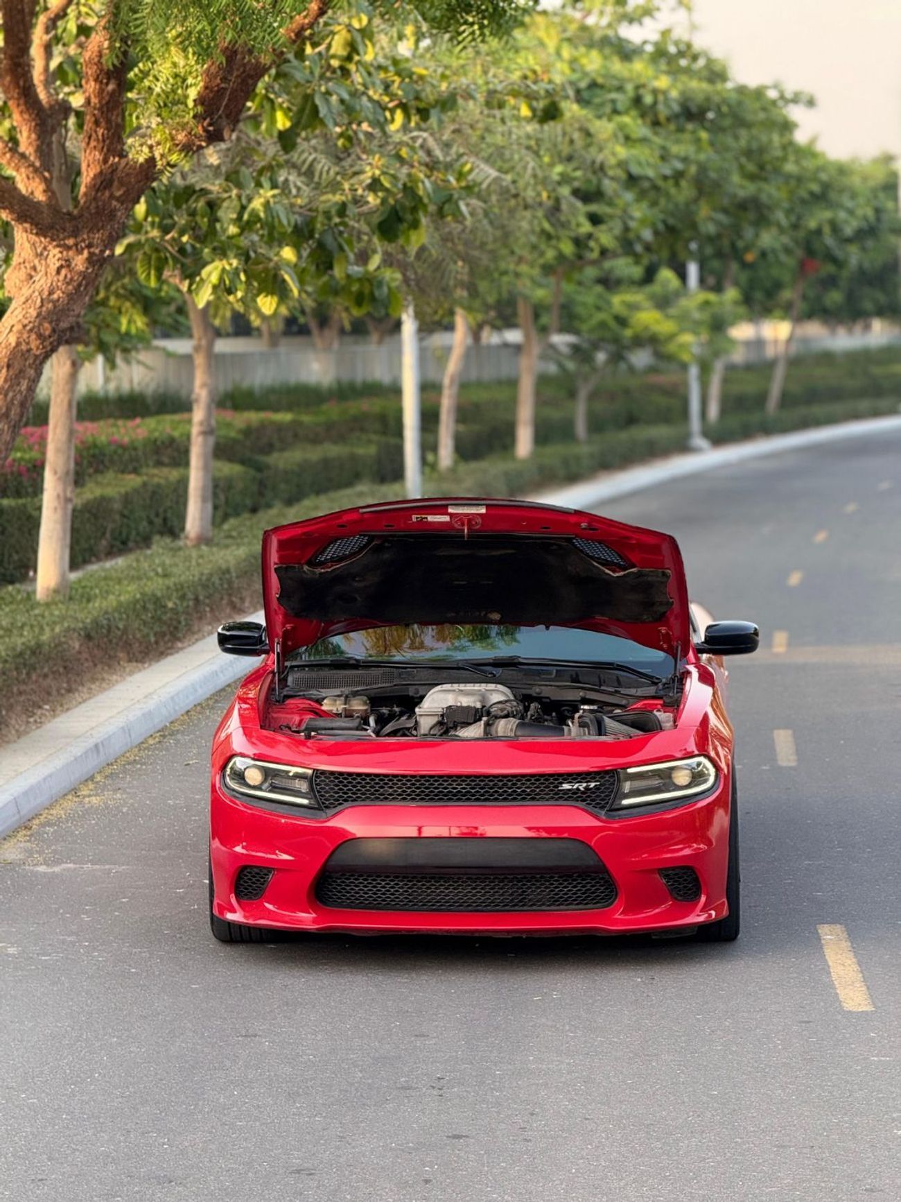 Dodge Charger SRT Hellcat 6.2L (707 HP)