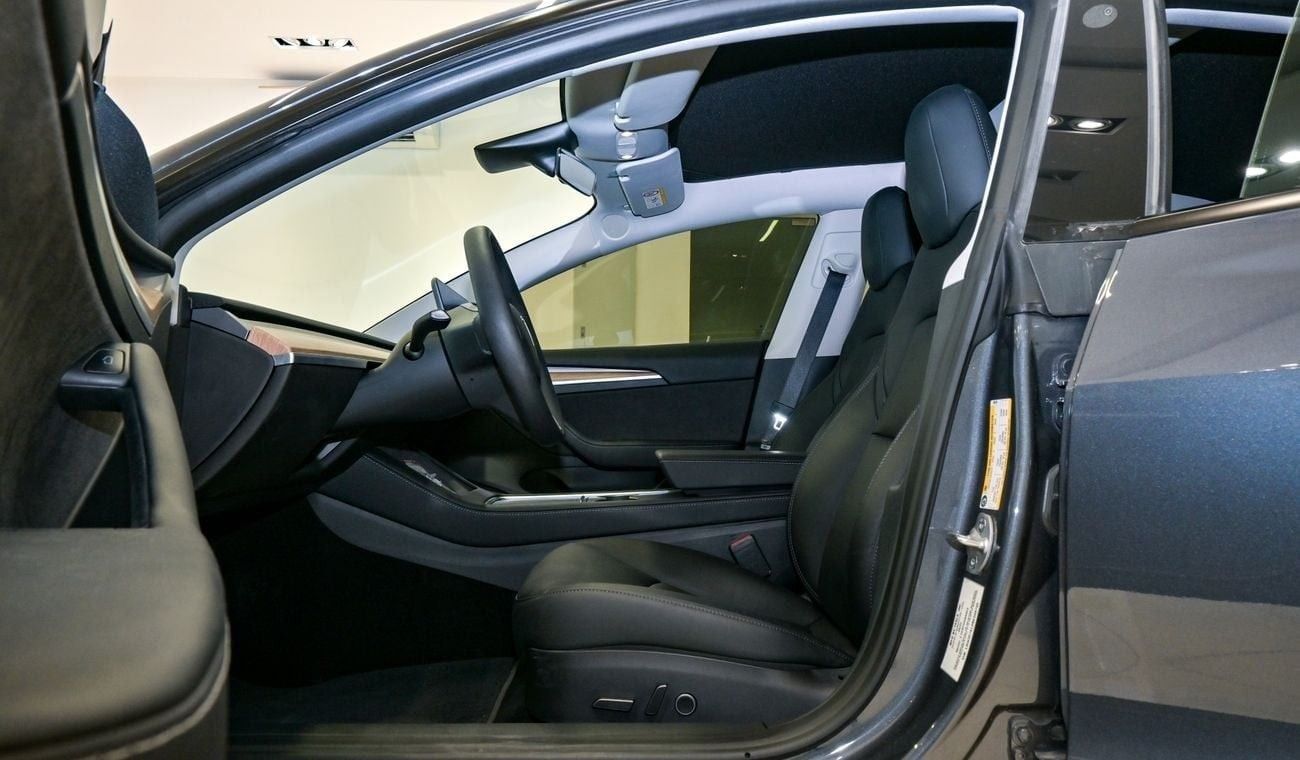 Tesla Model 3 Performance