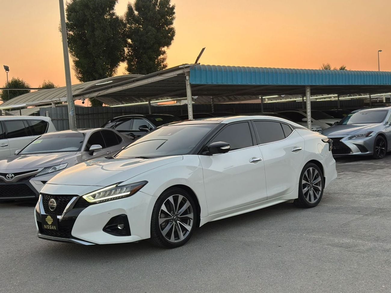 Nissan Maxima SR