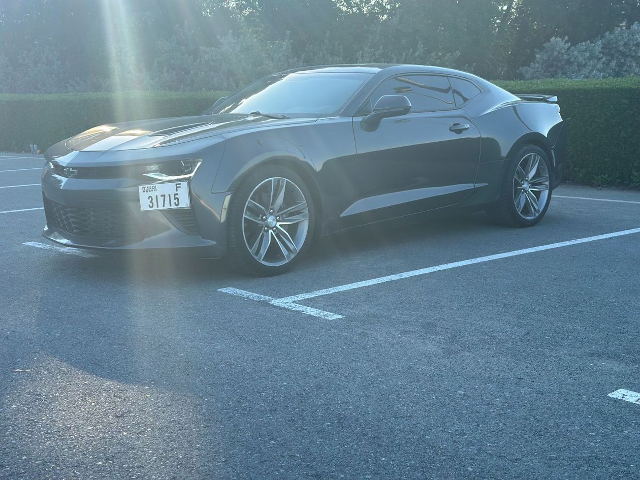 Chevrolet Camaro SS Korean importer