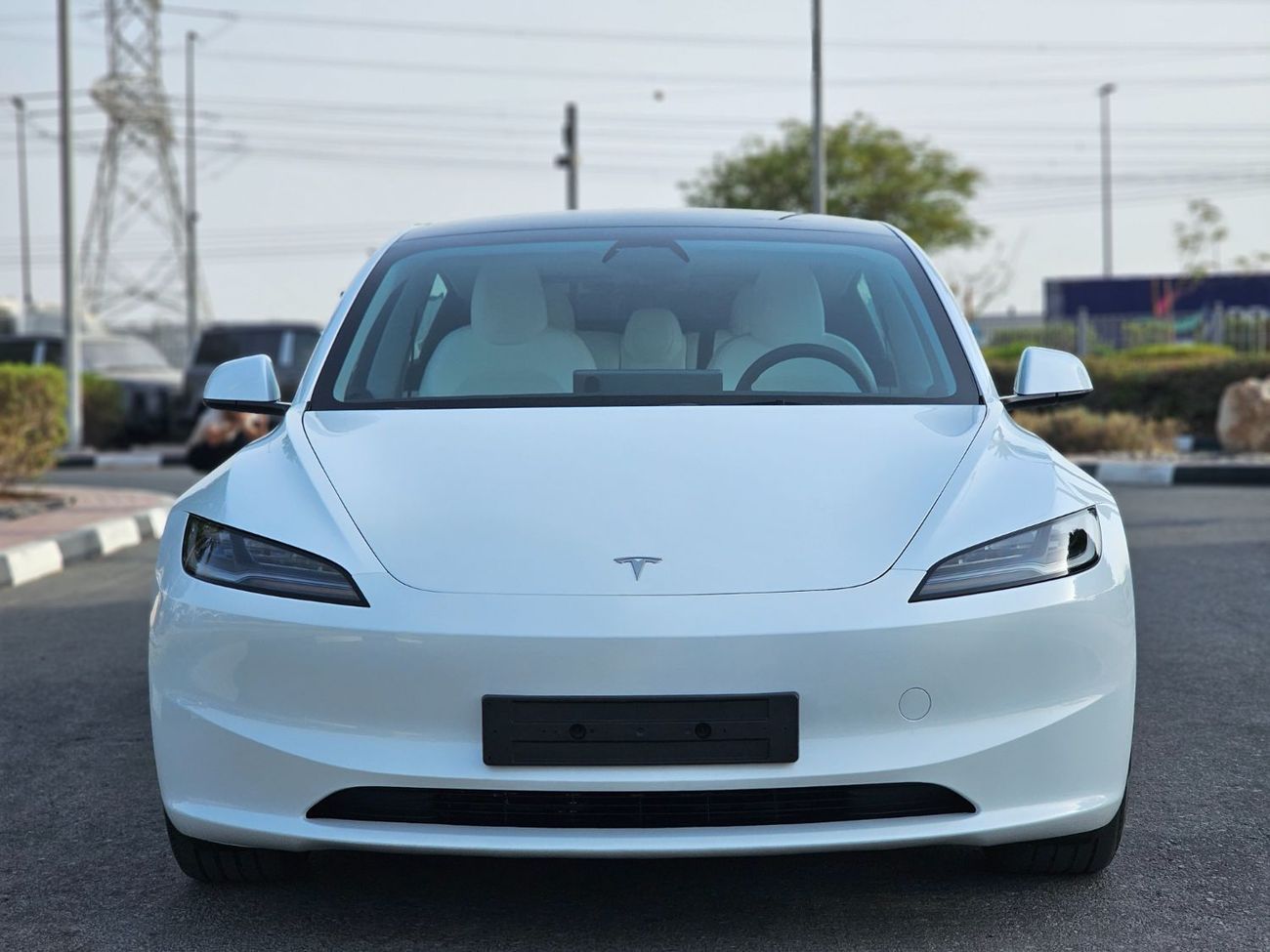 Tesla Model 3 Long Range (AWD)
