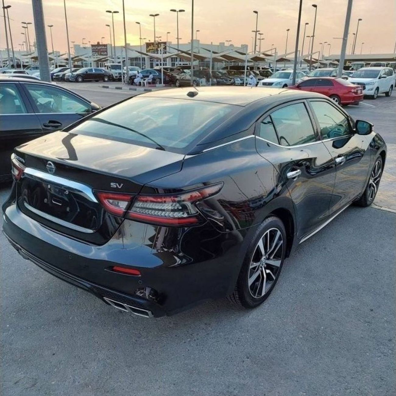 Nissan Maxima SV.  V6