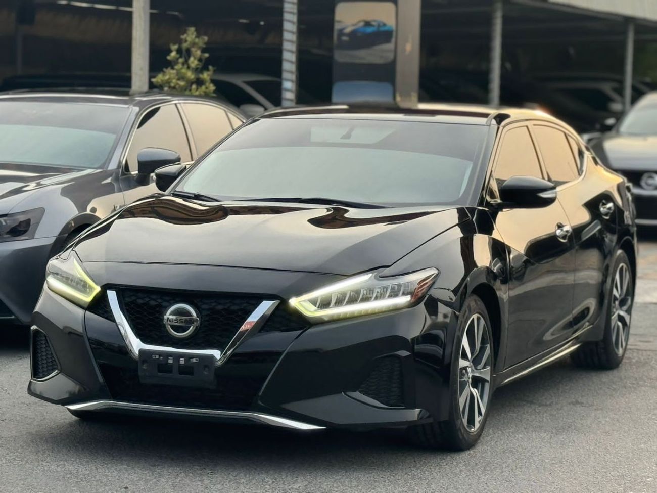 نيسان ماكسيما SV