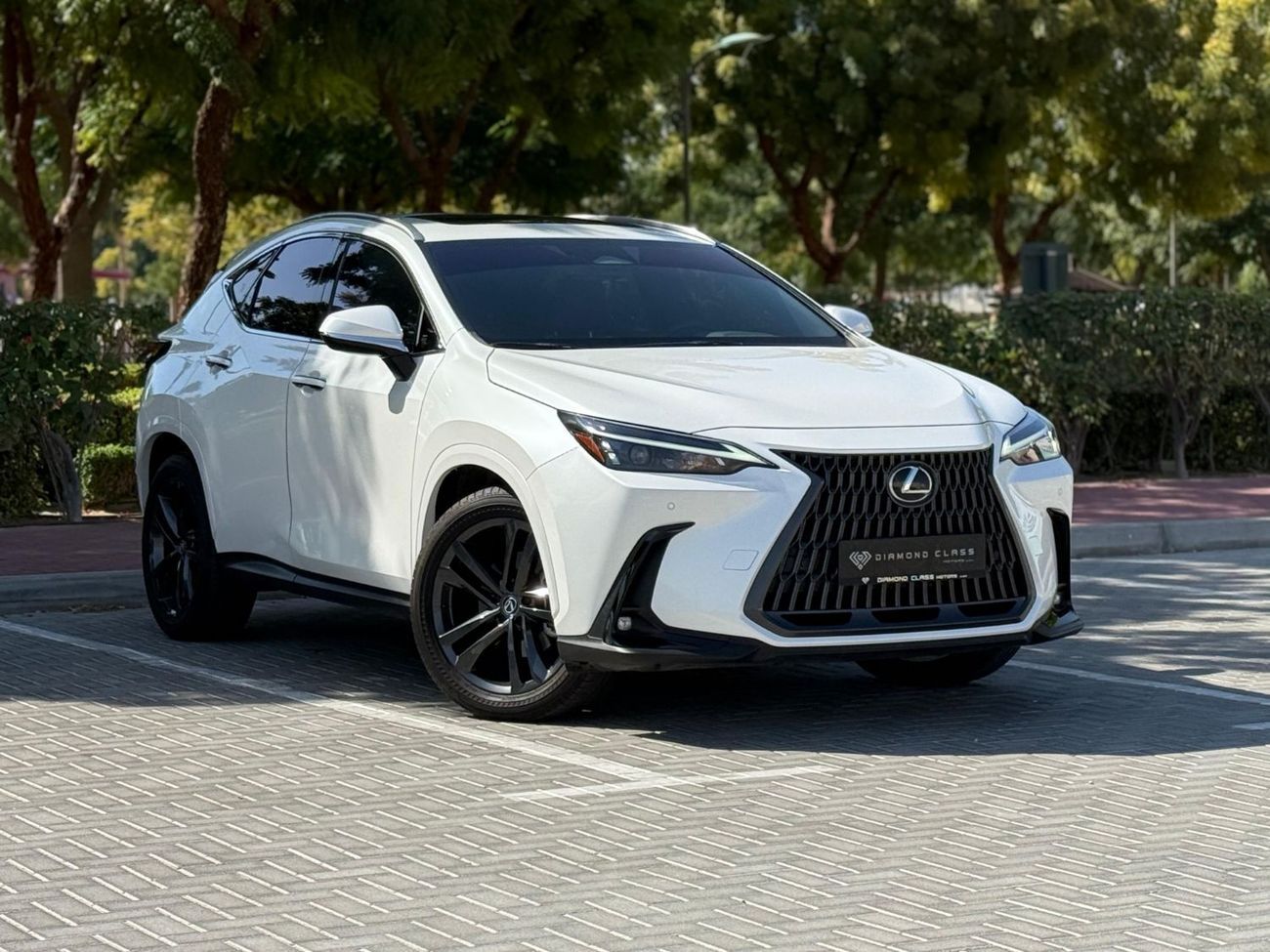 Lexus NX350h Hybrid Executive 2.5L