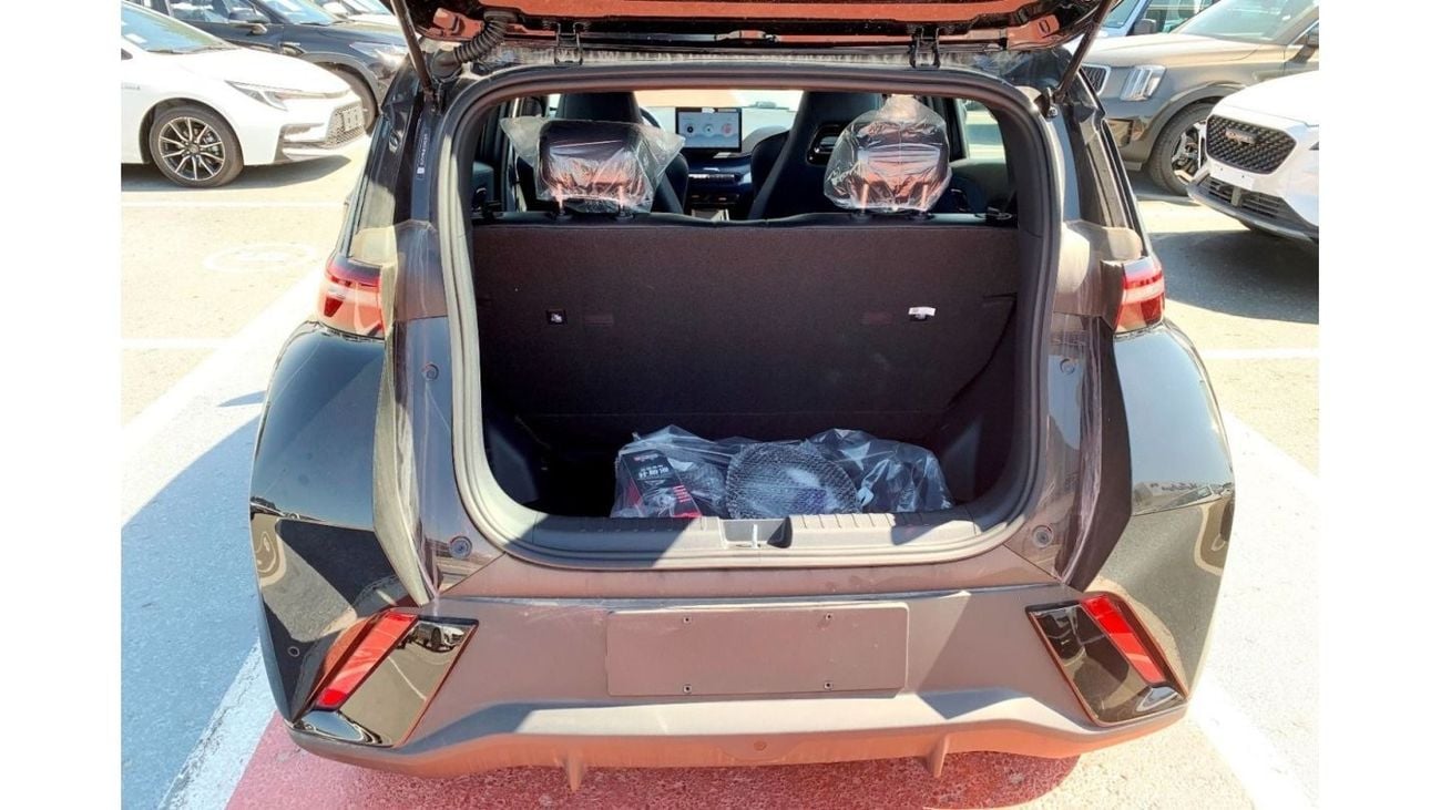 BYD Seagull 2023 BYD Brand New BYD Seagull