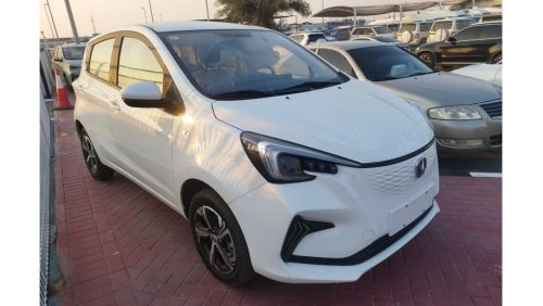 Changan Ben E-Star CHANGAN AUCHAN BENBEN E-STAR MID A/T ELECTRIC (2charger)