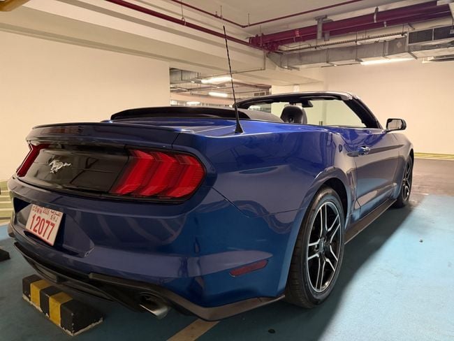 Ford Mustang STANDARD, миниатюра 19