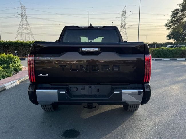 Toyota Tundra 1794 EDITION, миниатюра 26