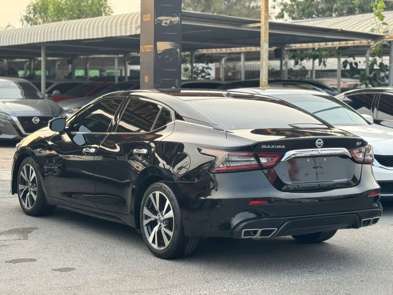 نيسان ماكسيما SV