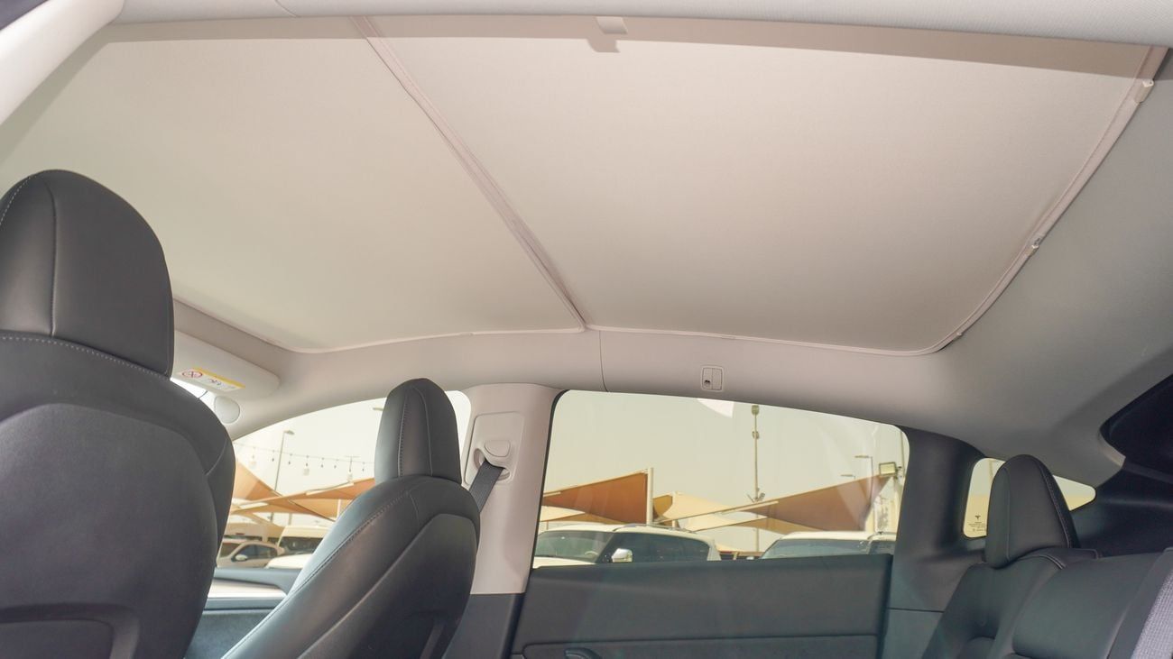 تسلا موديل Y