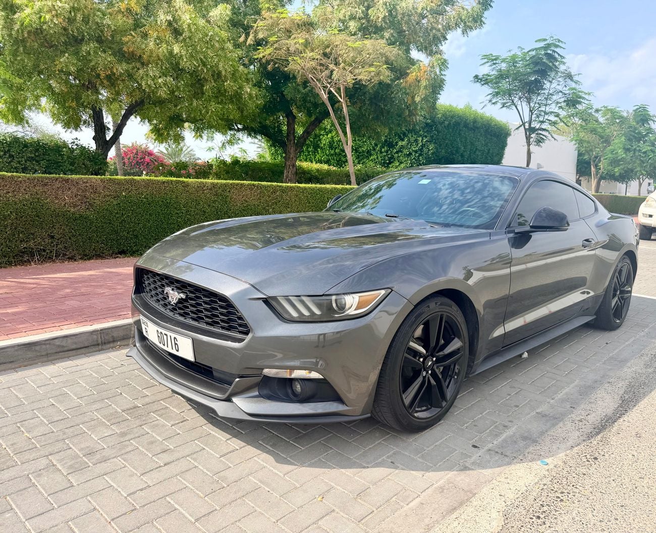 Ford Mustang PREMIUM