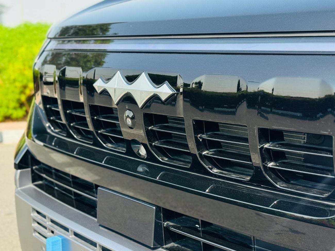 بي واي دي ليوبارد 8 Smart and Brave Flagship Edition (7 Seats)