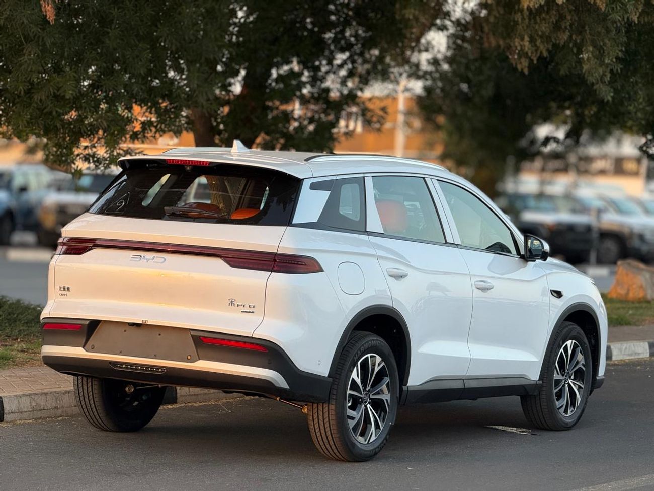 بي واي دي سونغ برو