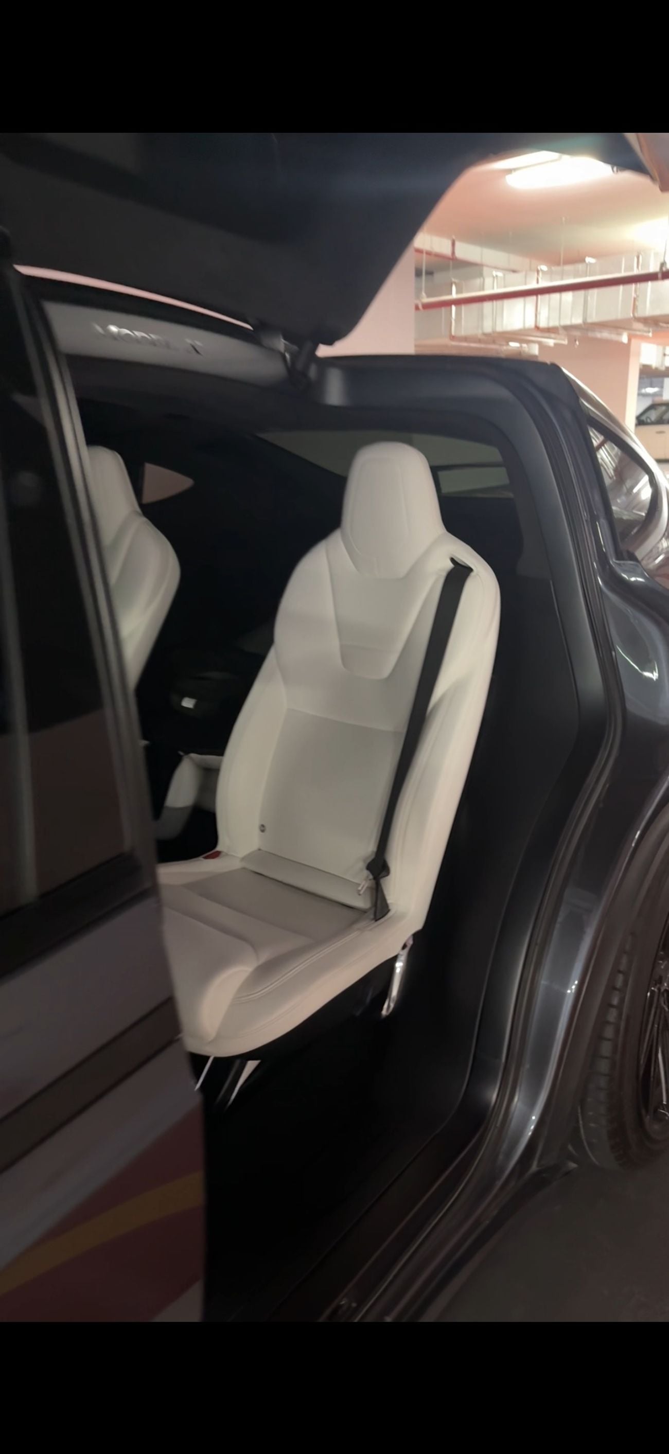 تسلا موديل اكس P100D