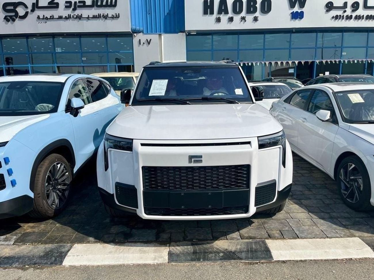 ROX 01 Long Range VIP 6 Seats VIP