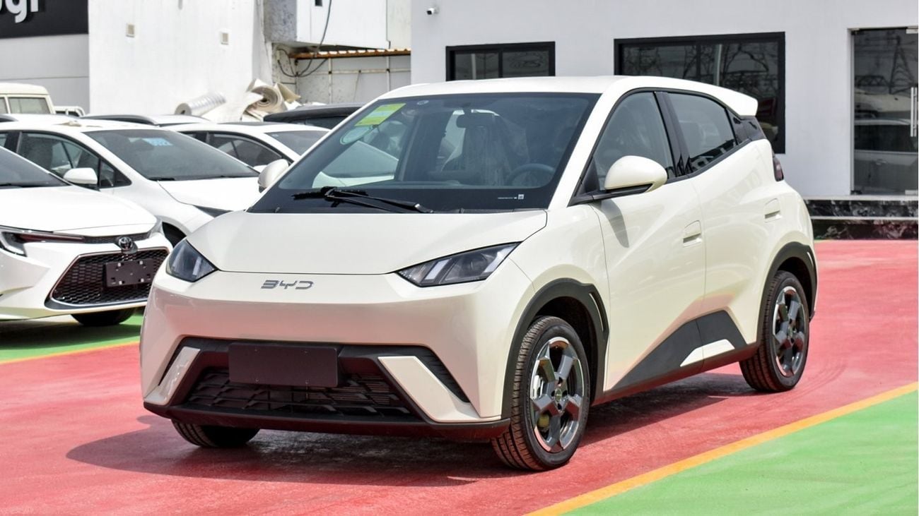 بي واي دي سيجول EV