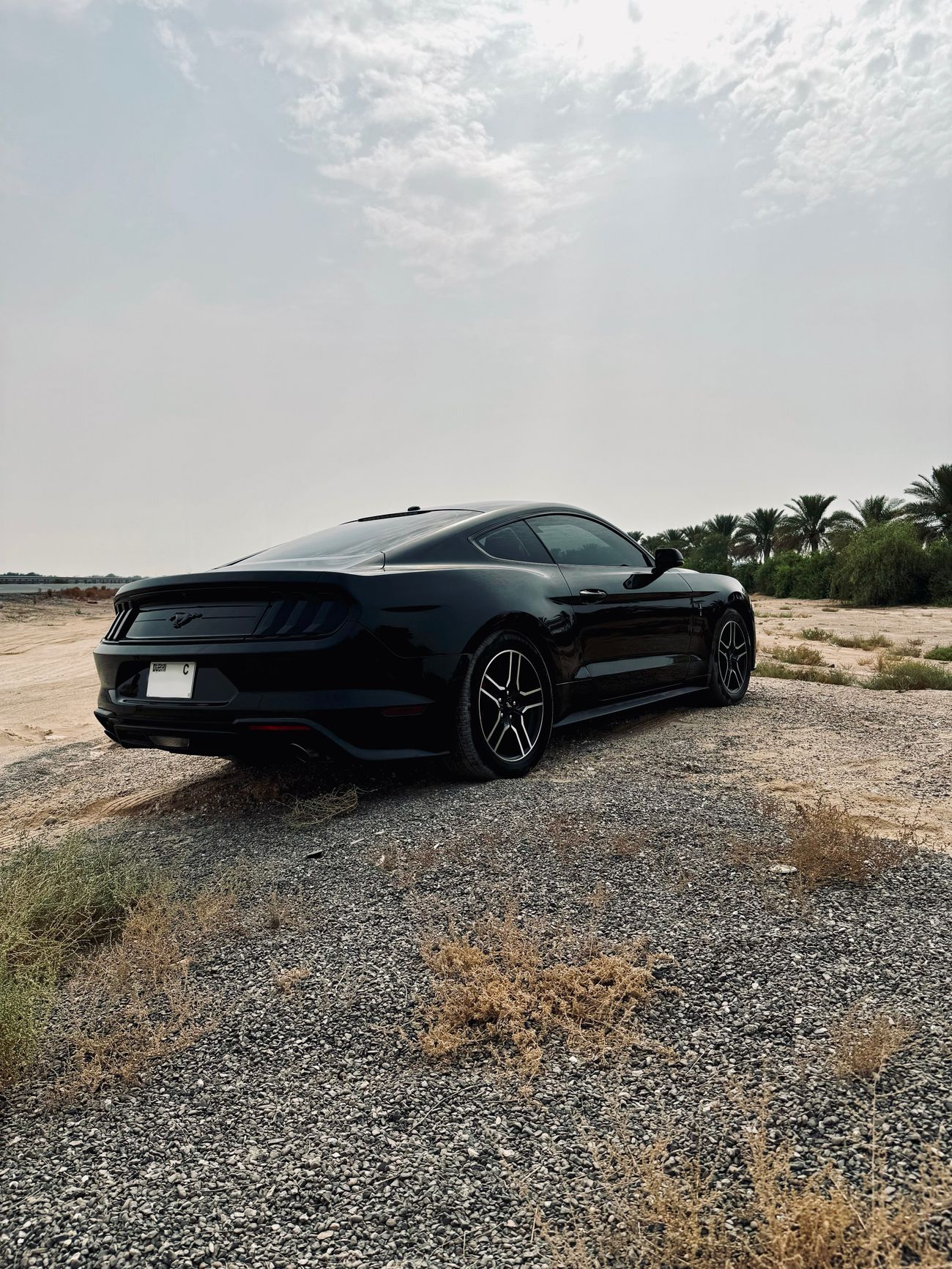 Ford Mustang Ecoboost Premium