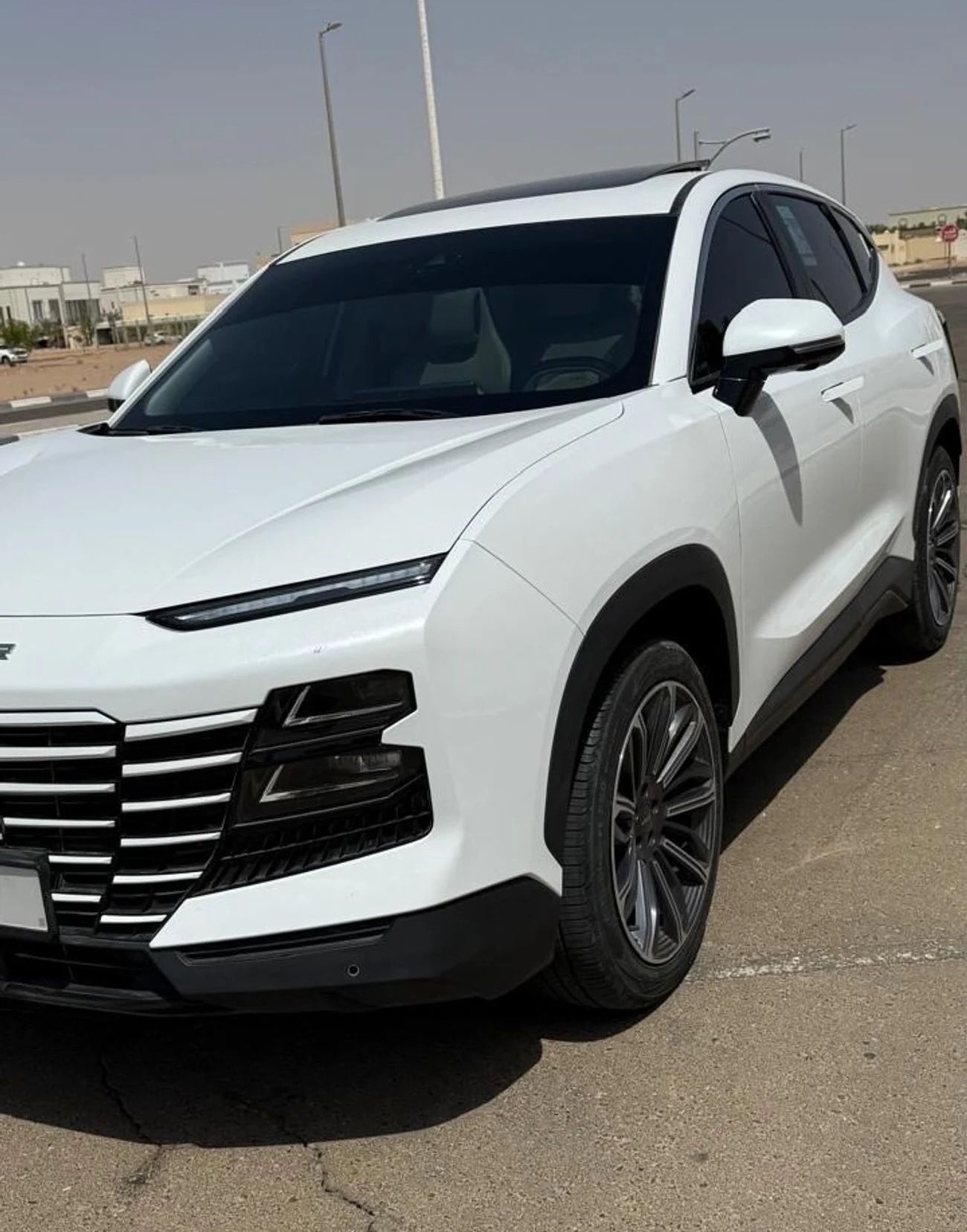 جيتور داشينج