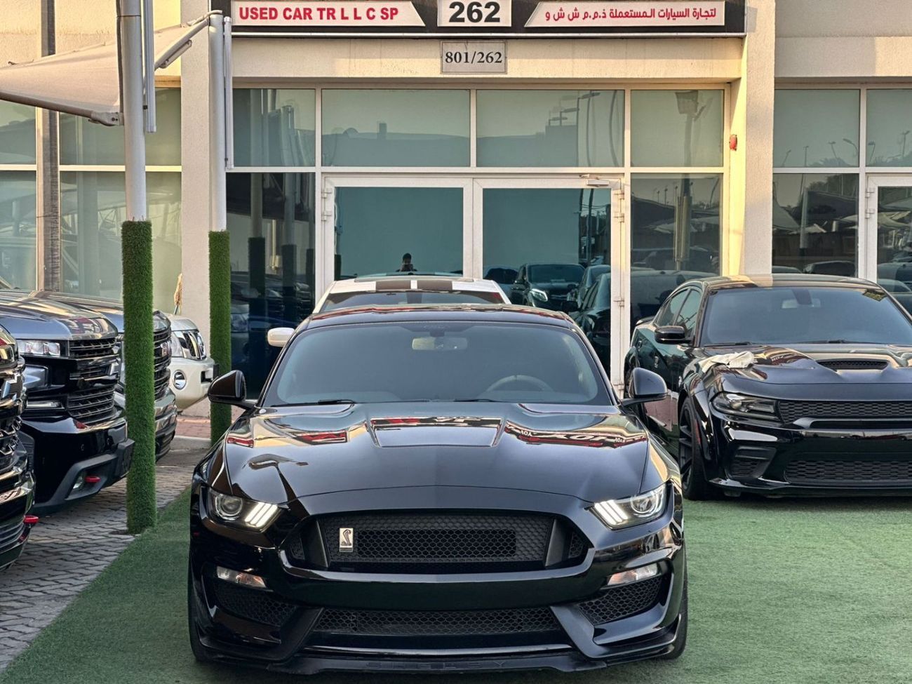 فورد موستانج فورد موستانج شيلبي Gt350  خليجي جير عادى تشييكات وكاله بحاله ممتازه