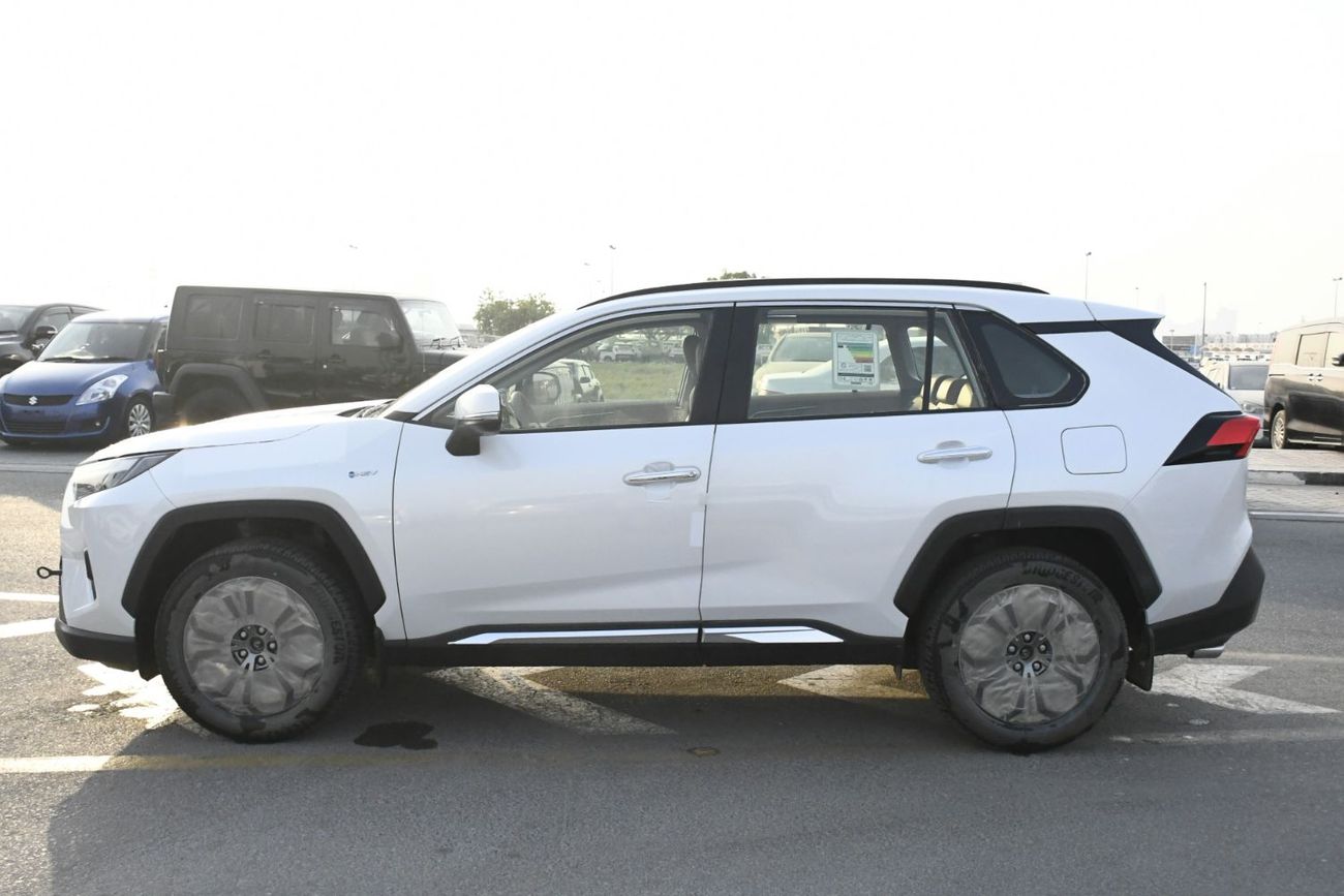 Toyota RAV4 Limited 2.5L hybrid with BSM & Door Molding