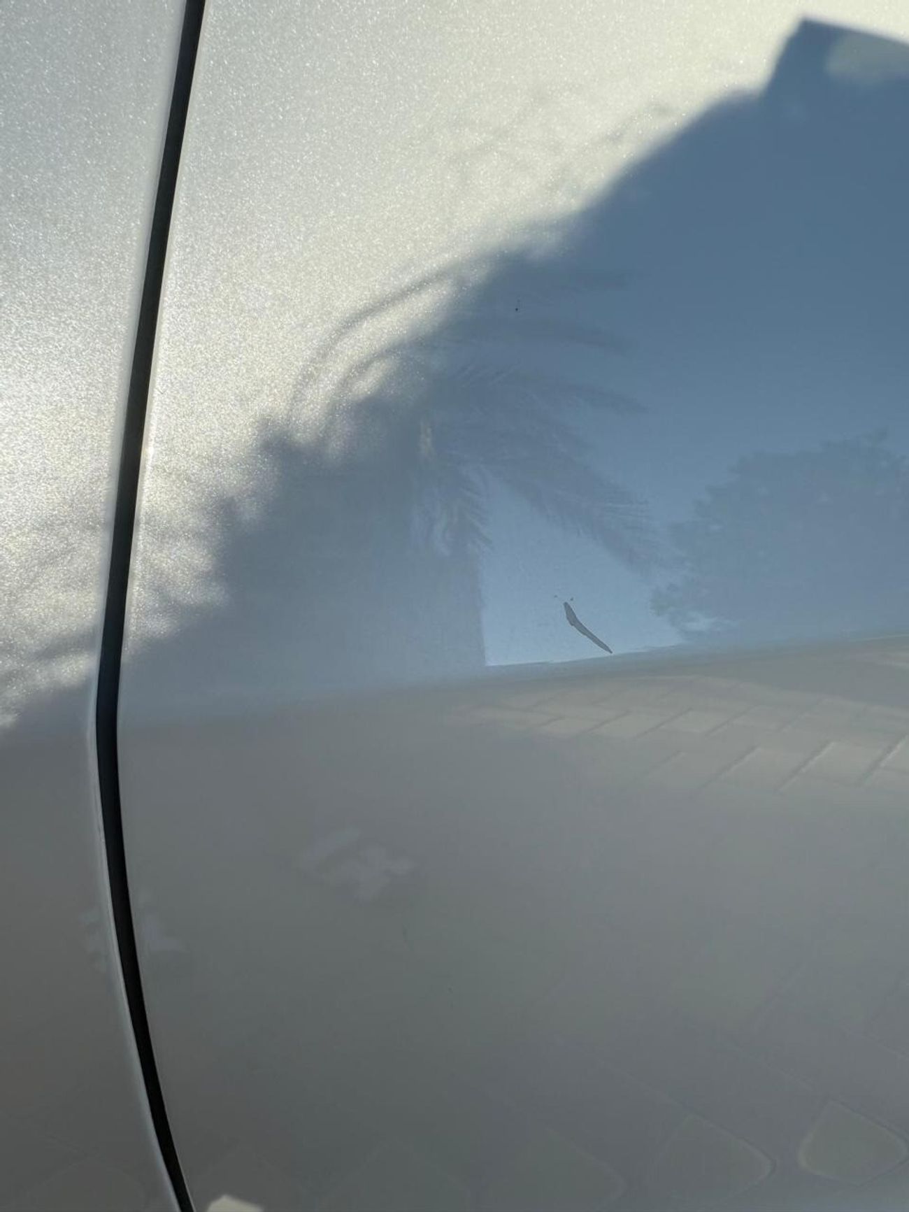 Tesla Model 3 Rear-Wheel Drive