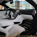 Bugatti Veyron VINCERO MANSORY