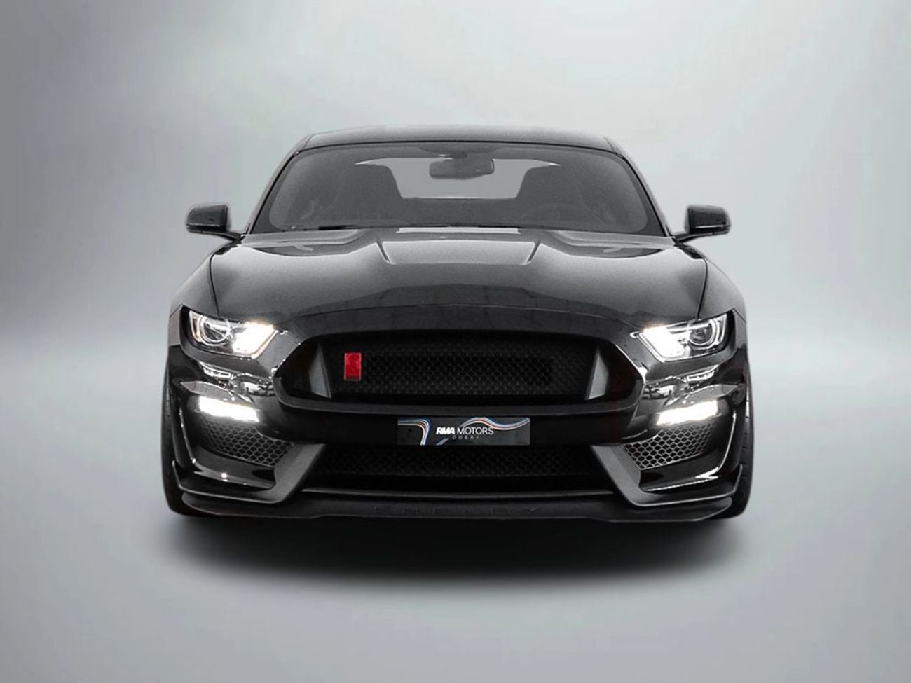 Ford Mustang Shelby GT350 R