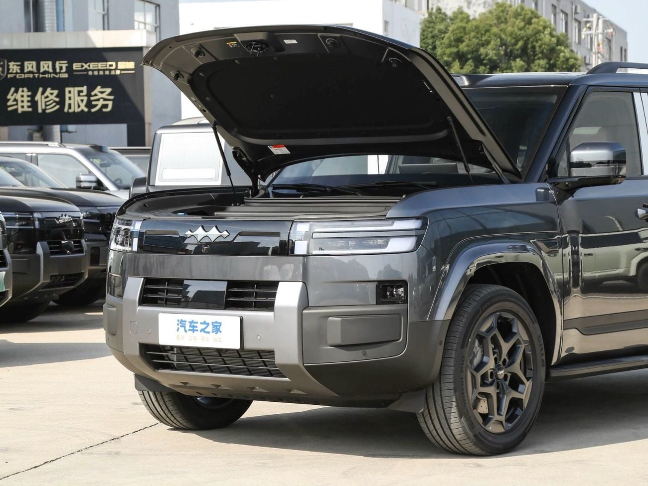 BYD Leopard Titanium 7 grey-white