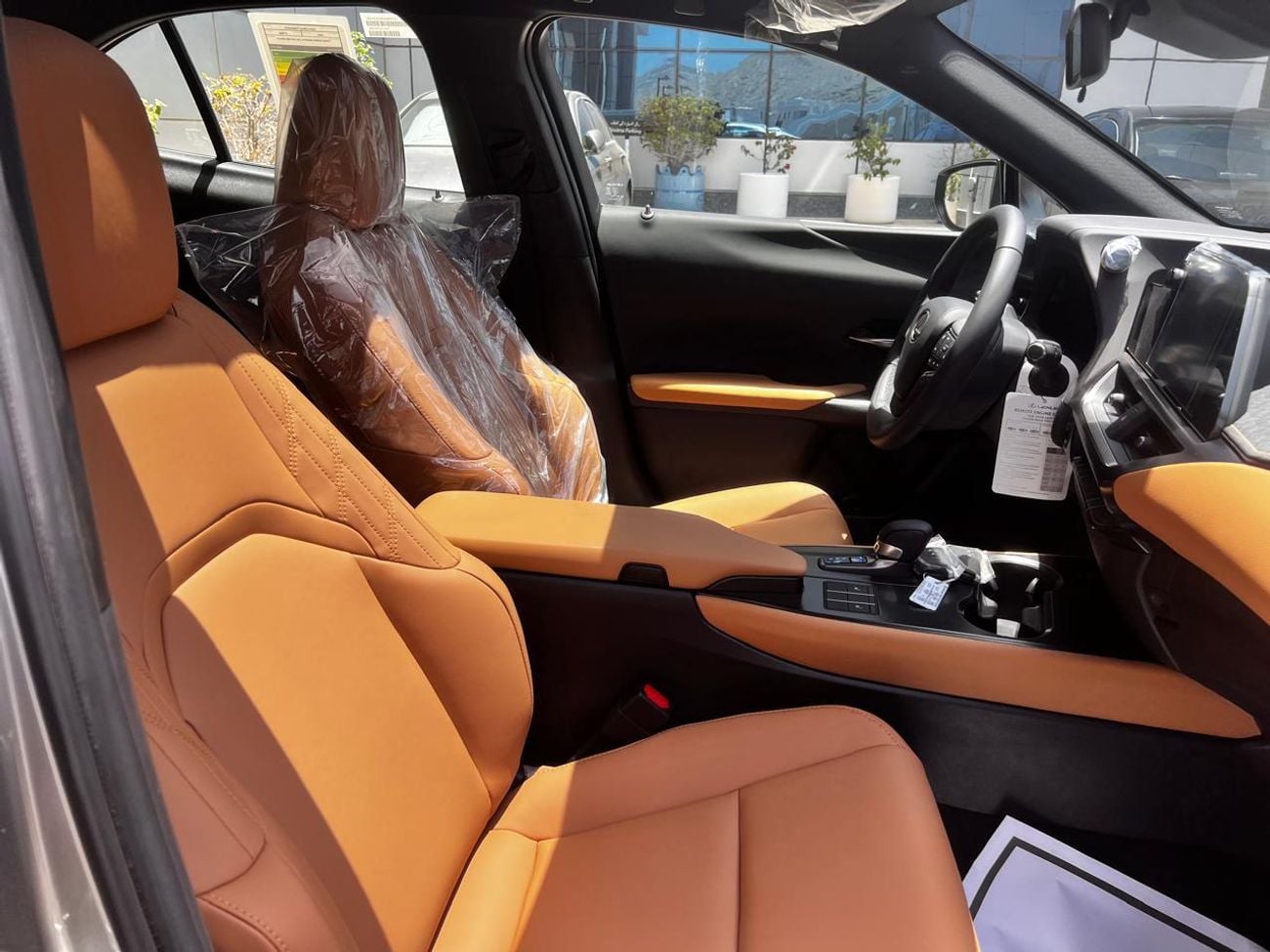 Lexus UX300h