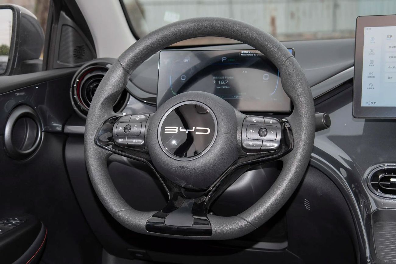 BYD e2 Export avaliable in Comfort & Luxury Option