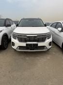 Kia Seltos 1.5L (Chinese) luxury Edition