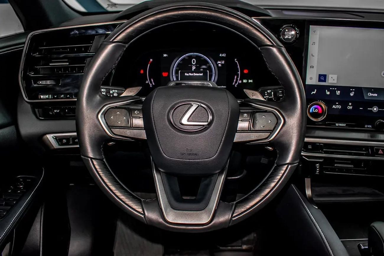 Lexus RX Platinum, миниатюра 8