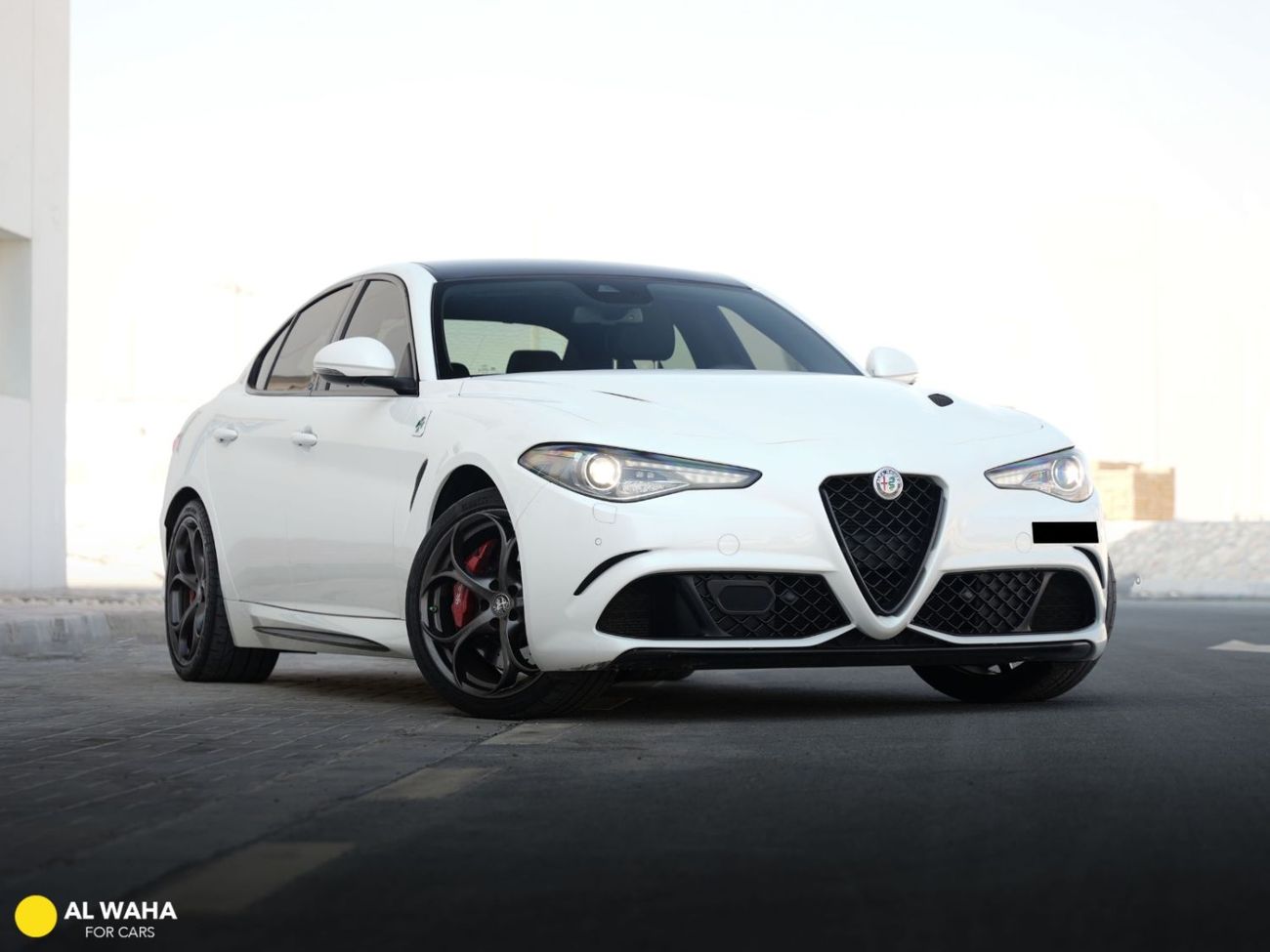Alfa Romeo Giulia Quadrifoglio 2.9L (510 HP) Quadrifoglio 2021 2.9L Twin Turbo V6 Full Service History