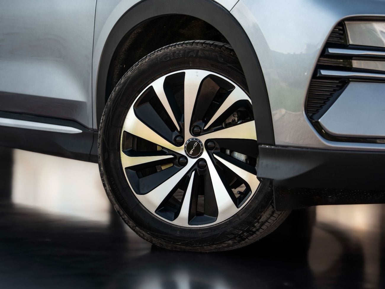 بي واي دي سونغ بلس Design