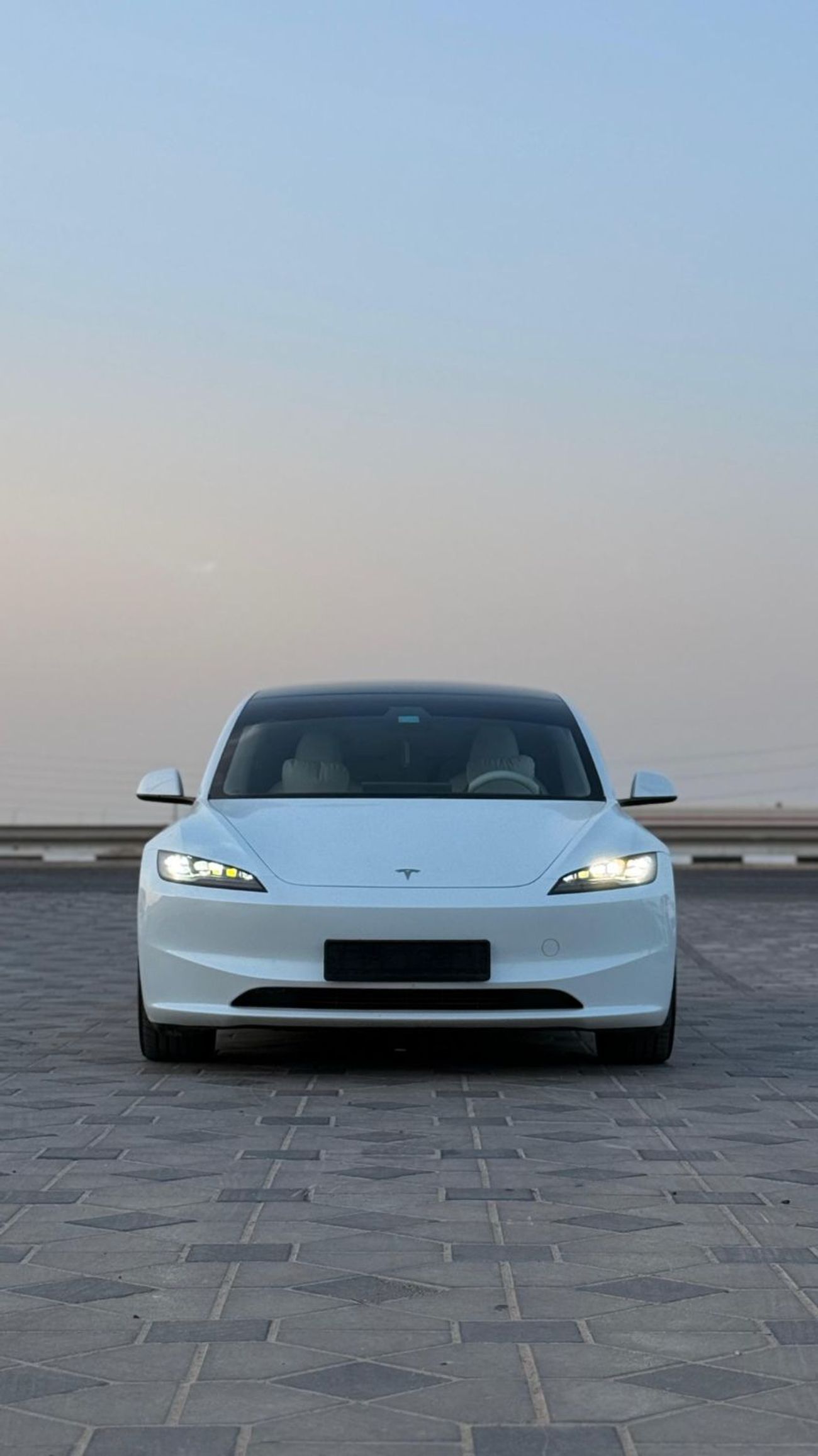 Tesla Model 3 Performance (AWD)