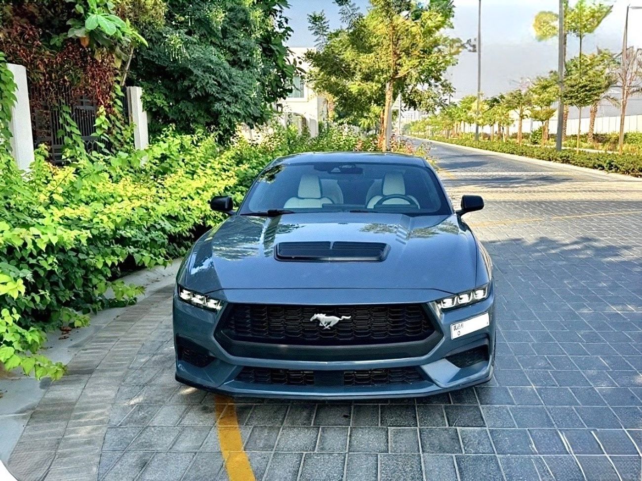 فورد موستانج Performance Package with upgraded brakes, sport suspension and cold air intake