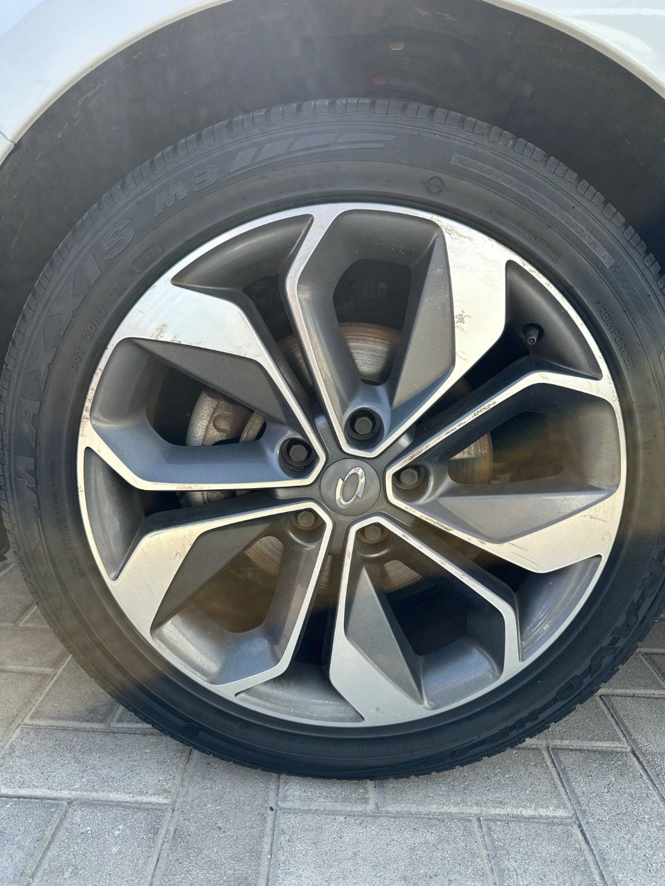 سانج يونج رودياس خاليه من الحوادث